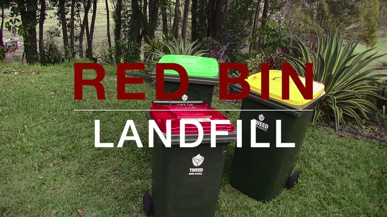 What goes in the Red Bin?