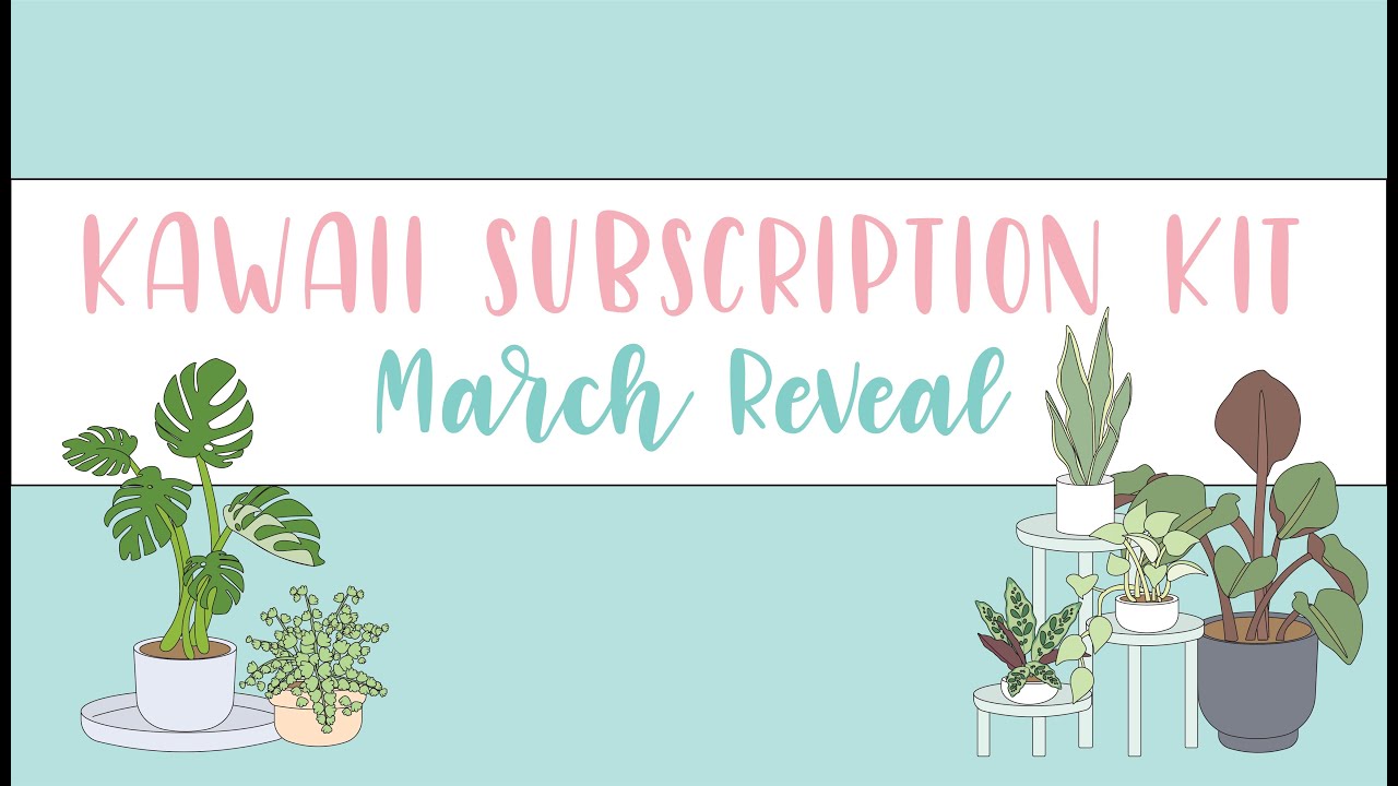 Kawaii Kit Reveal - March - Anti Stress