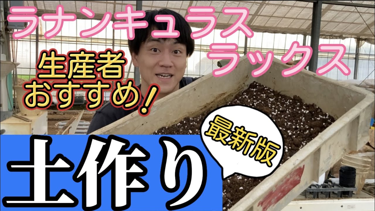 最新ラックス土作り【ラナンキュラスラックス】【生産者】【ガーデニング】【やり方】【園芸のぶチャンネル】