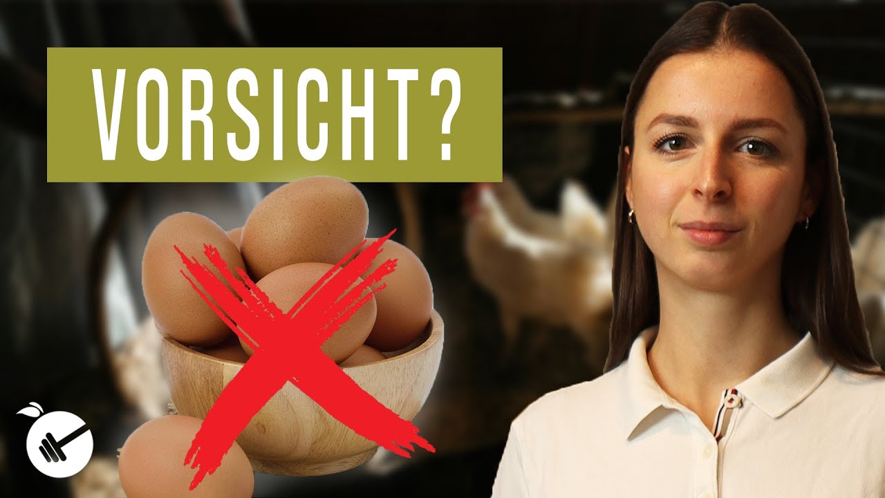 Eier: Superfood oder stiller Killer? Die Wahrheit enthüllt!