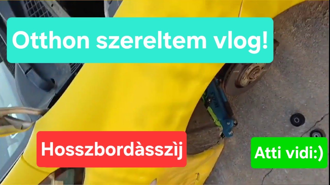 Otthon szereltem vlog Citroën Xsara Picasso Hosszbordásszij csere  Atilla videoja