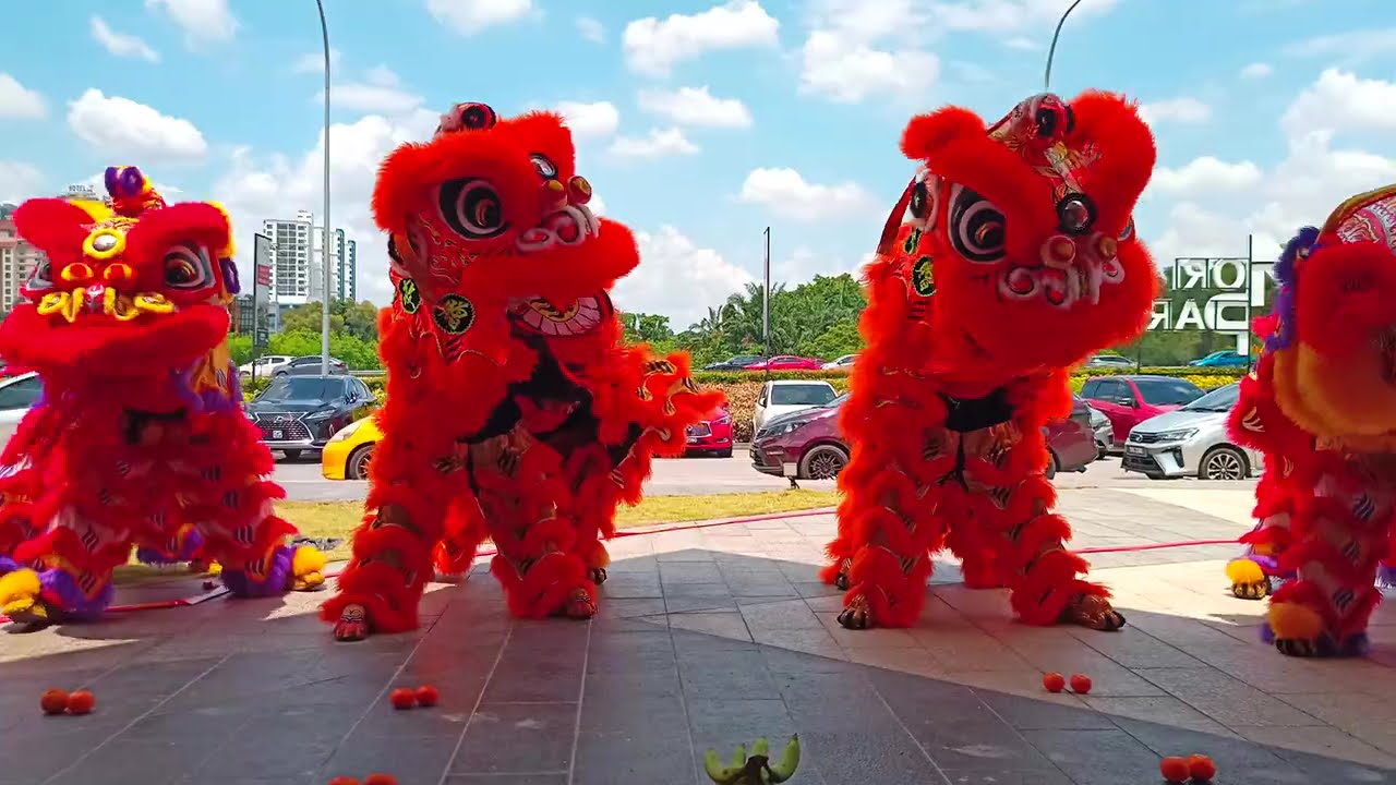 Lion Dance SRY