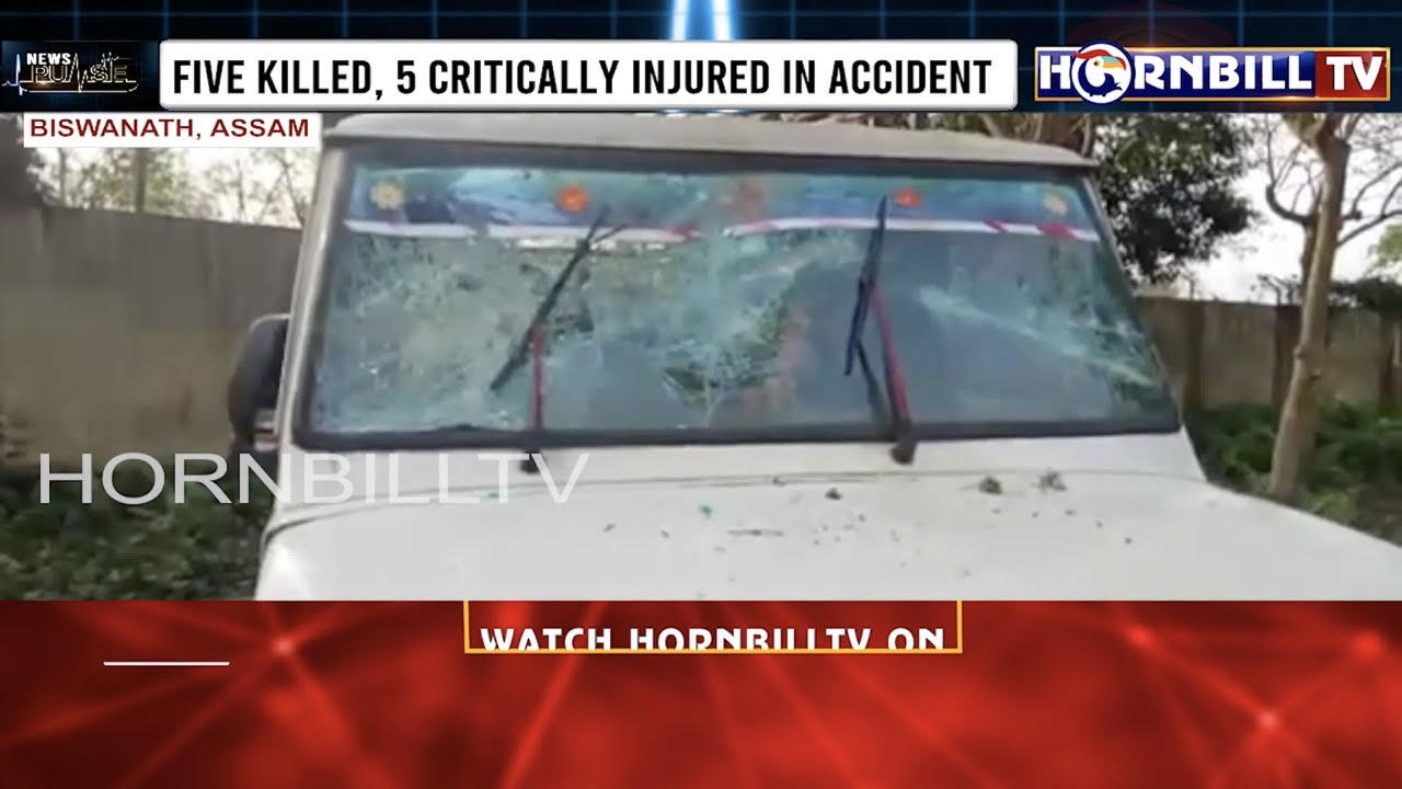 PICK-UP TRUCK CARRYING DANCE TROUPE MEETS ACCIDENT IN ASSAM
