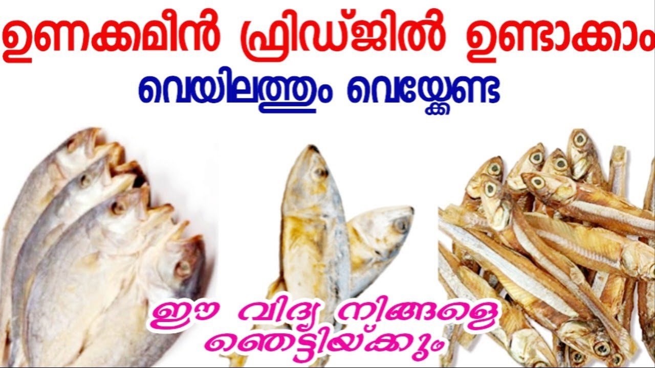കിടിലൻ ടേസ്റ്റിലുള്ള ഉണക്കമീൻ വീട്ടിലുണ്ടാക്കുന്ന ഞെട്ടിയ്ക്കുന്ന ടിപ്സ് | Homemade Dried Fish Tips