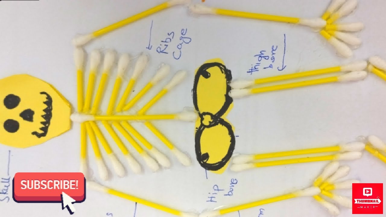 How to make a Skeleton for School Project,