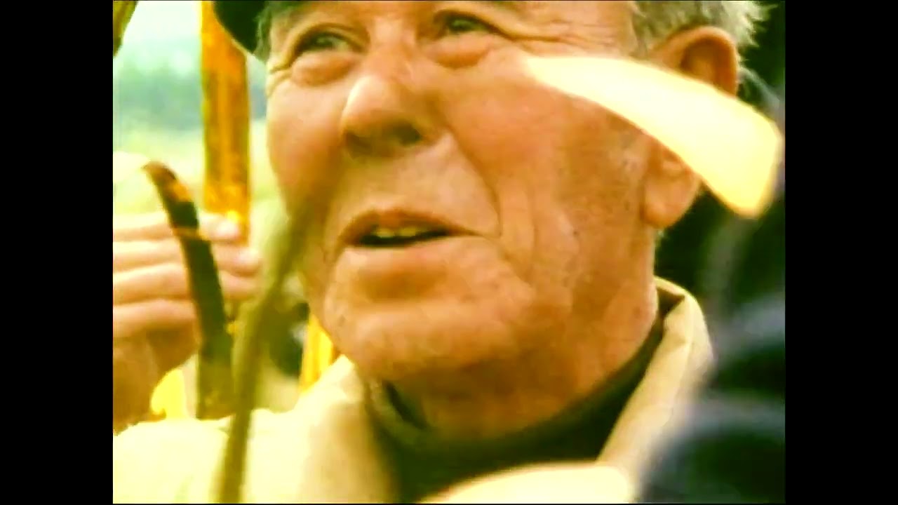 A.K. - Chris Marker (Lacquer and Gold)