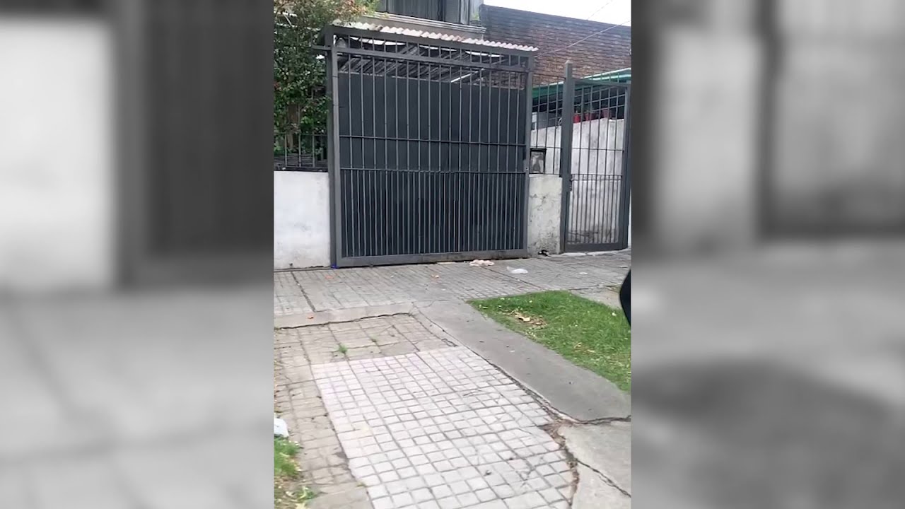 M&aacute;s de 200 plantas de marihuana incautadas en un allanamiento