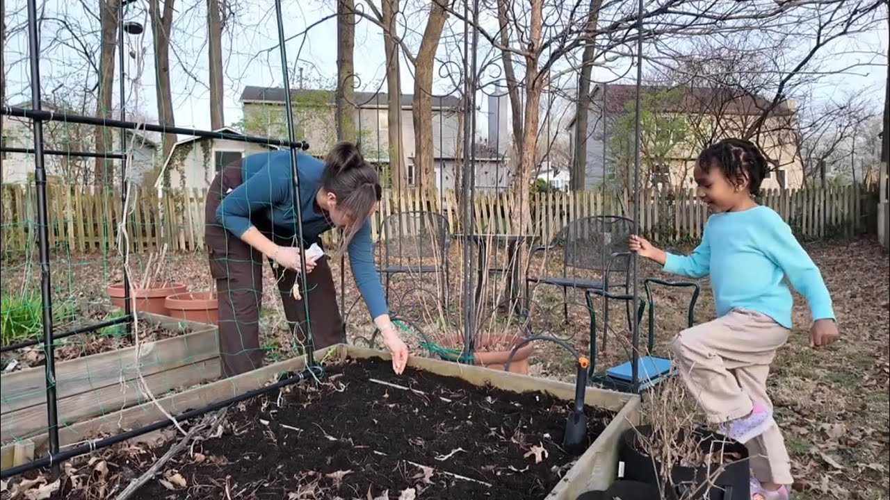 Early Spring Direct Sowing | Gardening Vlog