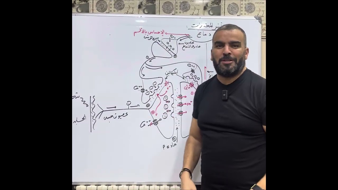 الاتصال العصبي تأثير المخدرات بكالوريا