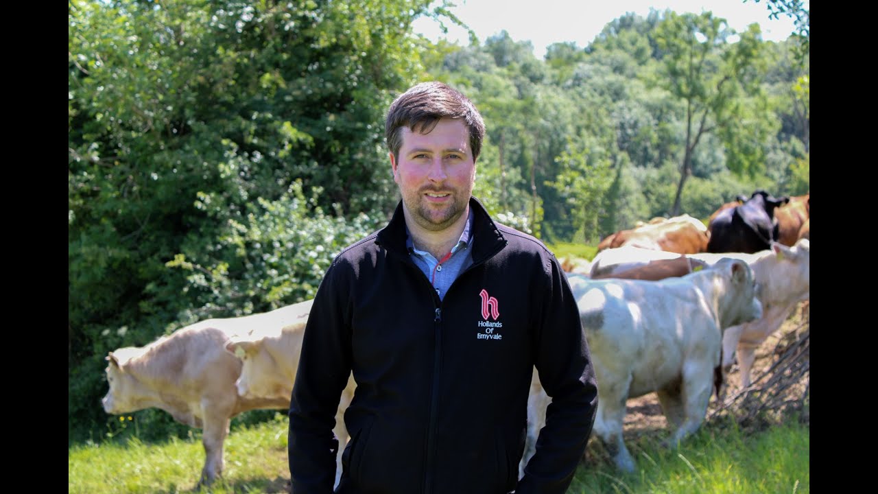 Hollands Of Emyvale Agri Merchant Experience With Kiernan Milling