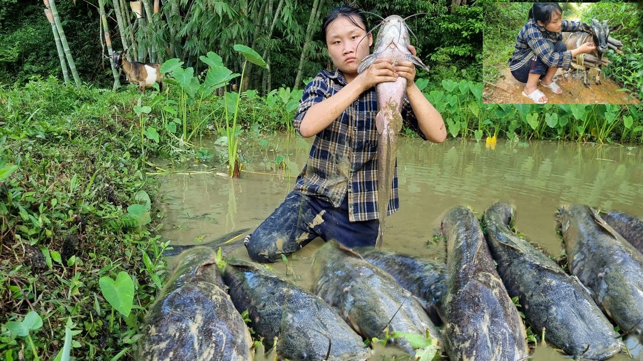 boy,and dog,girl catch fish  for sale l Forest life,chop firewood ,goat,cook noodles