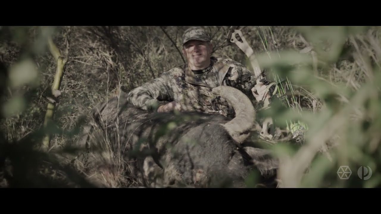 Hunting Enormous Water Buffalo in Argentina - Pointer Outfitters & Hunting With Hecs!