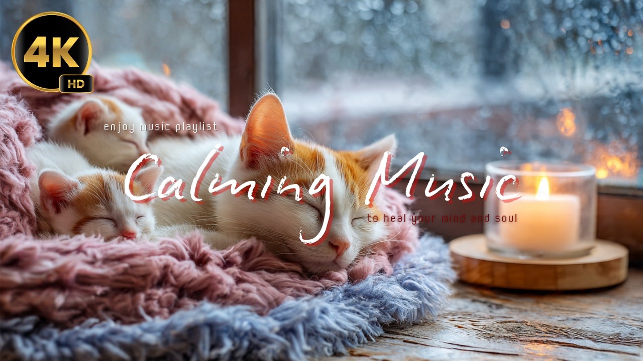Enjoy Music for Deep Sleep 🥹 Sleep Music No Ads 🎵 Deep Sleep With Healing Music ❤️‍🔥 #cats #enjoy