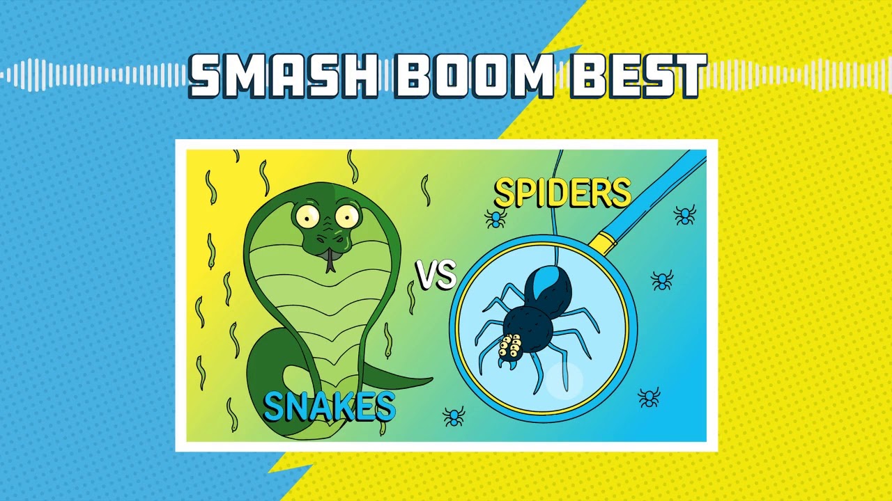 Snakes vs Spiders | Smash Boom Best, a debate podcast for kids