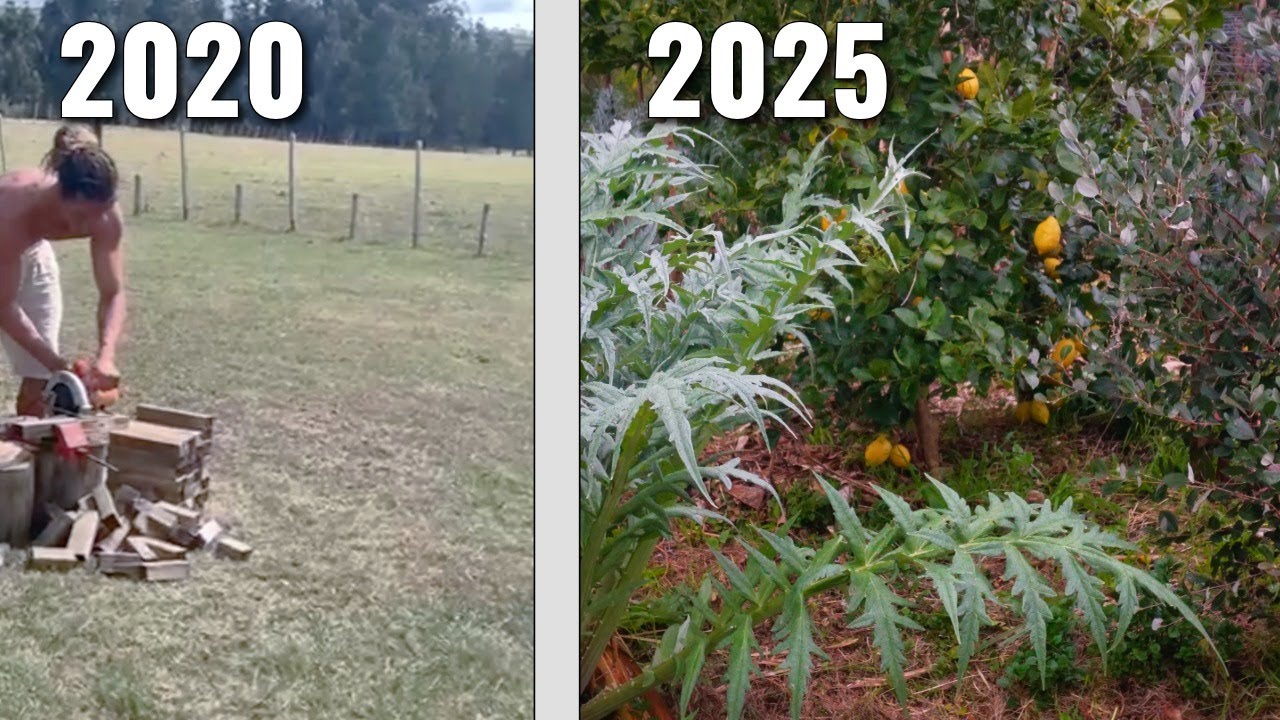 Cómo un DESIERTO VERDE se hace EDÉN de ALIMENTOS VIVOS - Permacultura & Sintropia en Uruguay