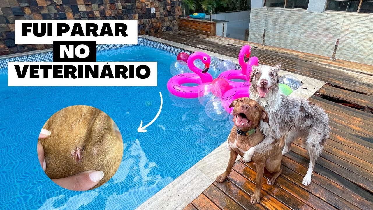 A Pool Party Mais Divertida Do Mundo | Festa De Aniversário Da Kiliquinha 🛟🎉