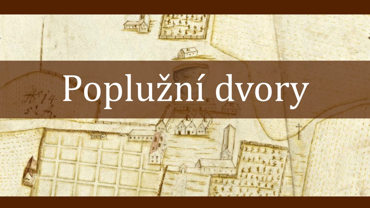 Poplužní dvory v raném novověku