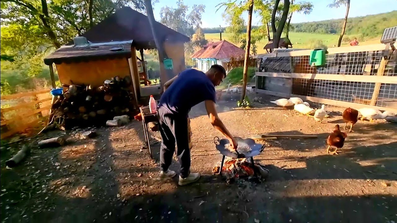 Aripioare de pui la disc cu ceapa si bulion la casuta din padure !