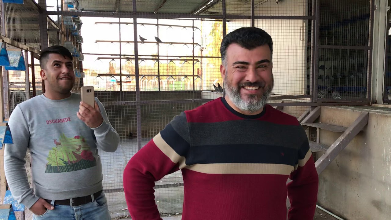 جرد حمام الواصل بنقطةً كركوك سباق ٧٣٠ فاو