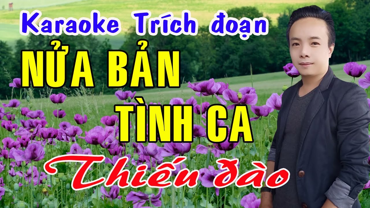 Karaoke trích đoạn NỬA BẢN TÌNH CA - THIẾU ĐÀO [Hát cùng Ns Ngọc Trắng]