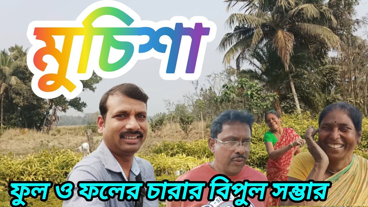 মুচিশার ফুল ও ফলের নার্সারি | চারা গাছের বিশ্বস্থ প্রতিষ্ঠান |Organic Tree Plants |Tour Planner Vlog