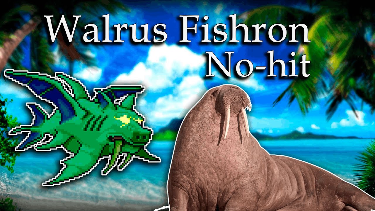 Duke Fishron No-Hit - Death Master mode