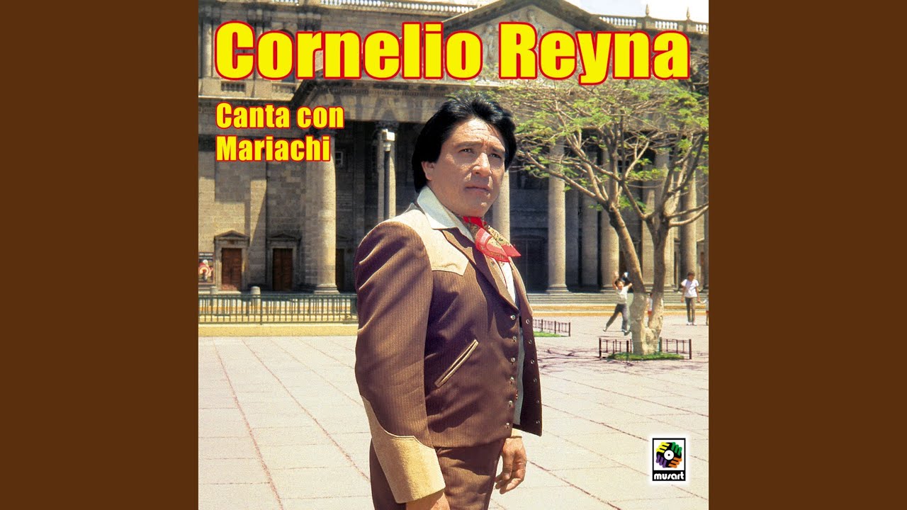Tú Tienes La Culpa