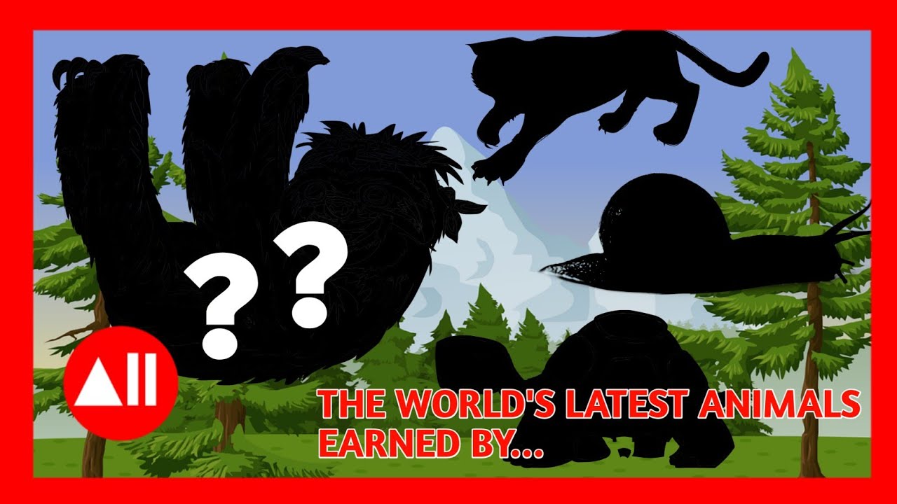 5 Slowest Moving Animals in the World | ALL IN ONE en