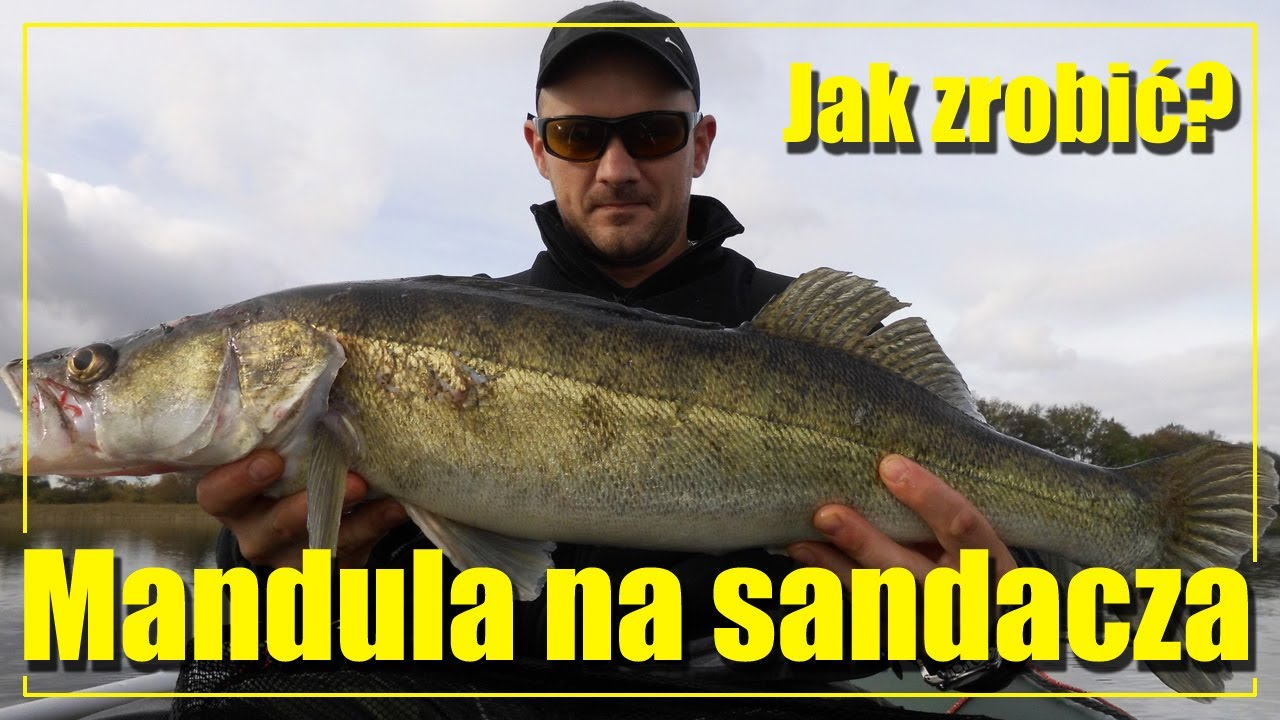 MANDULA na SANDACZA | Jak zrobić mandulę? | Przynęta pod czeburaszkę