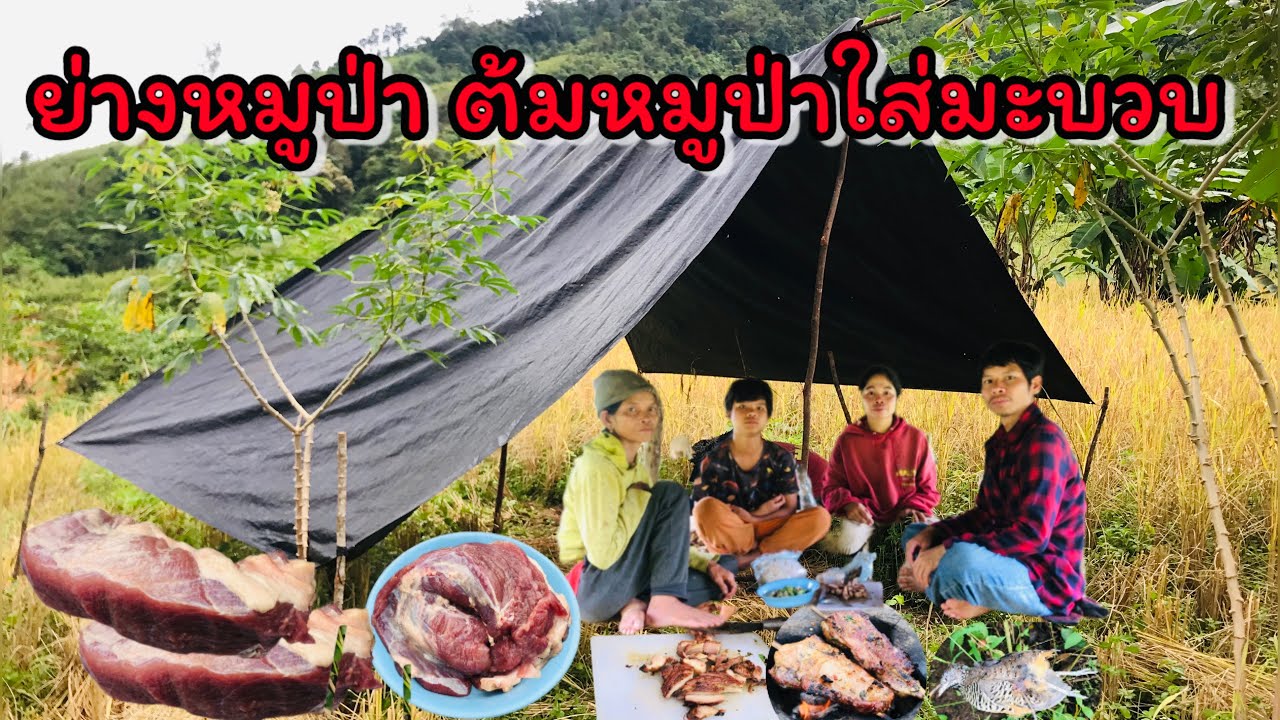 วันนี้น้องแยกอารมณ์ดี มีของอร่อยมากินที่ไร่ข้าว - YUB AVERN