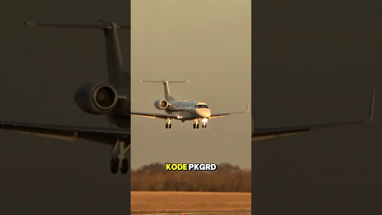 Jet Pribadi Presiden Prabowo Lebih Mewah dari Pesawat Negara! ✈️🔥
