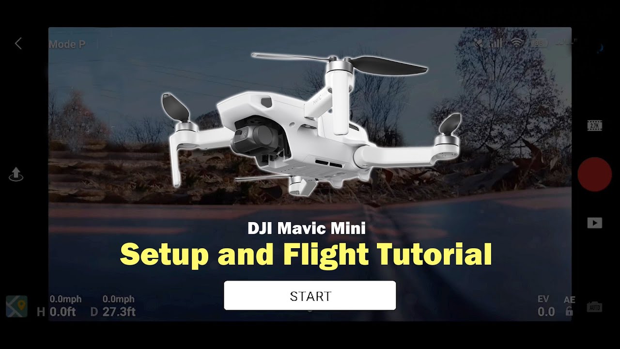 Начало работы с DJI Mavic Mini — настройка и первый полет