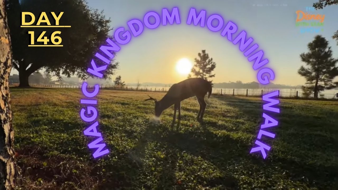 🔴 LIVE: Morning — Calm Disney World Walk & Opening Show | Day 146 | #TDWSS