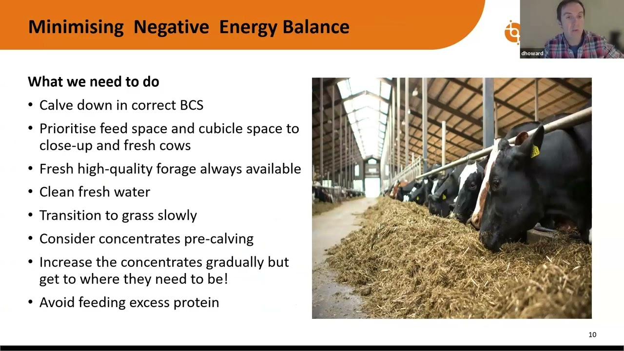 Dairy Breeding Information Meeting Webinar