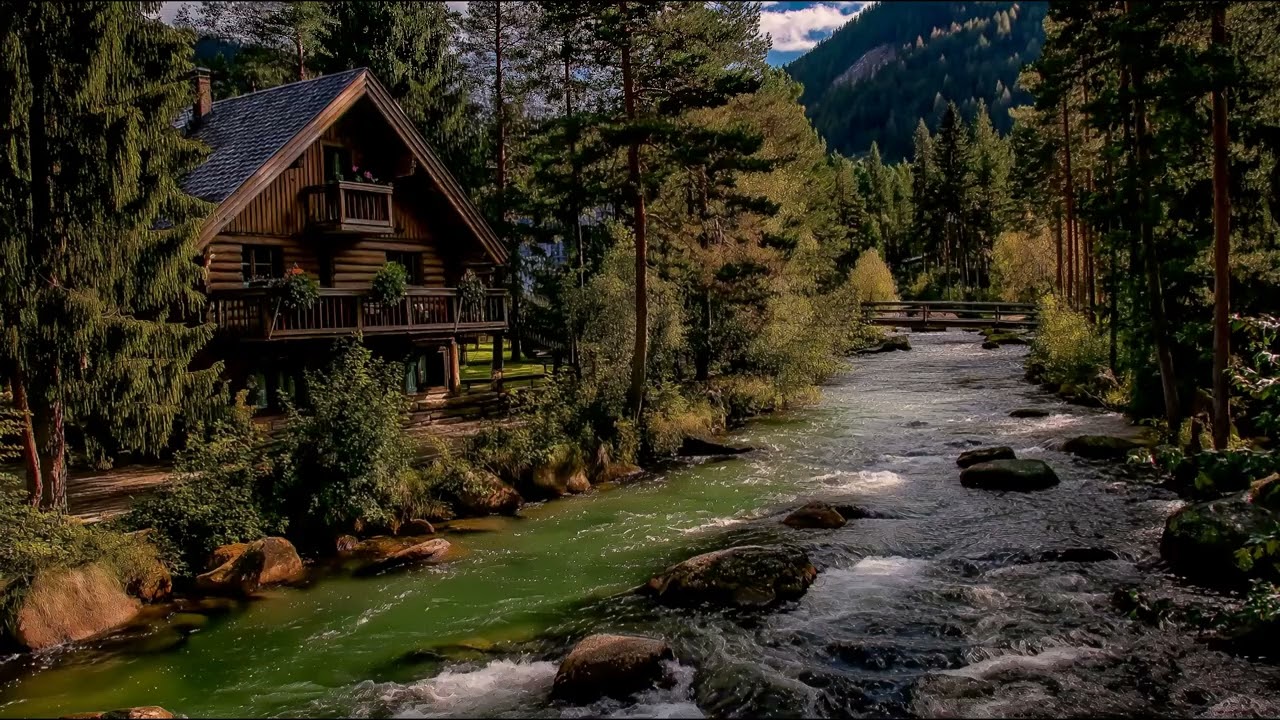 Deep Forest Stream Ambience 🌲 Relaxing Water Sounds for Sleep & Study (3 Hours)