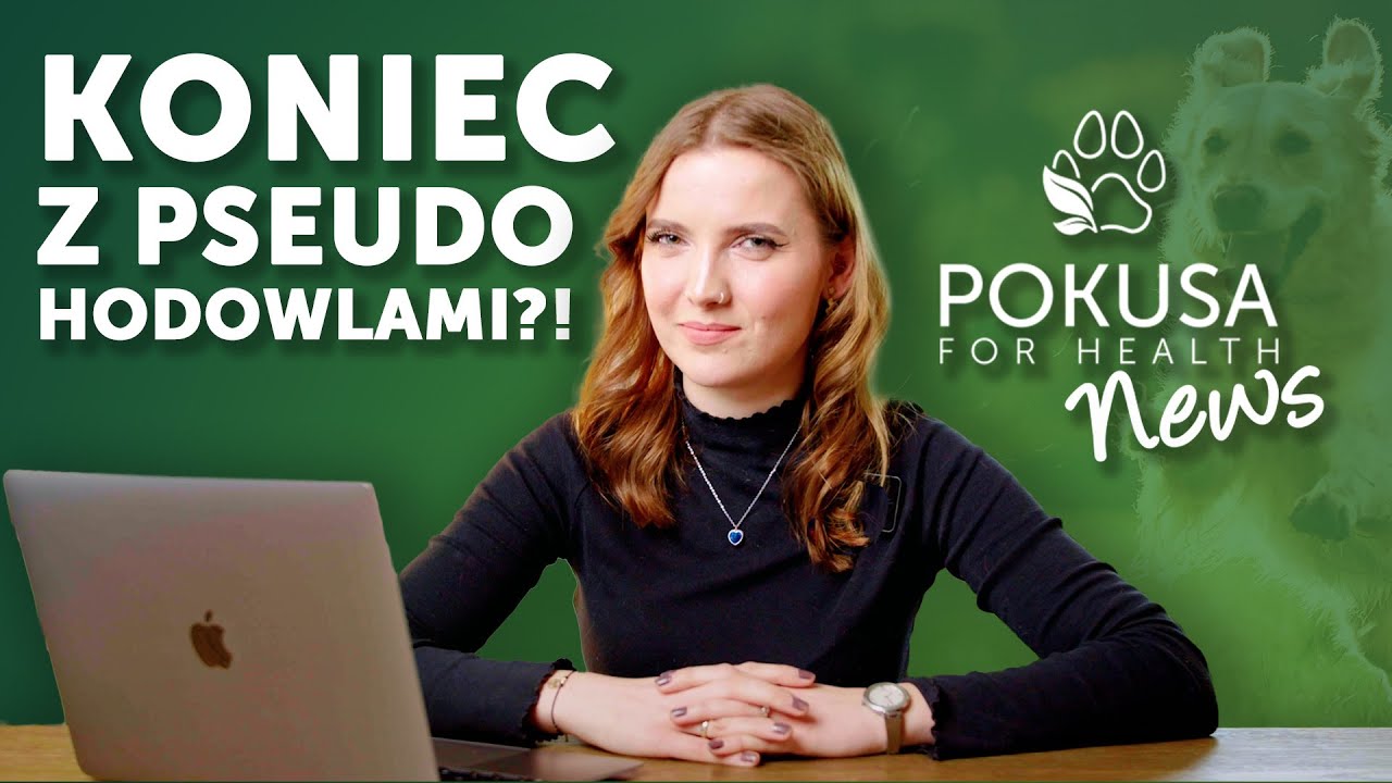 Wiadomości z psiego i kociego świata POKUSA NEWS #1