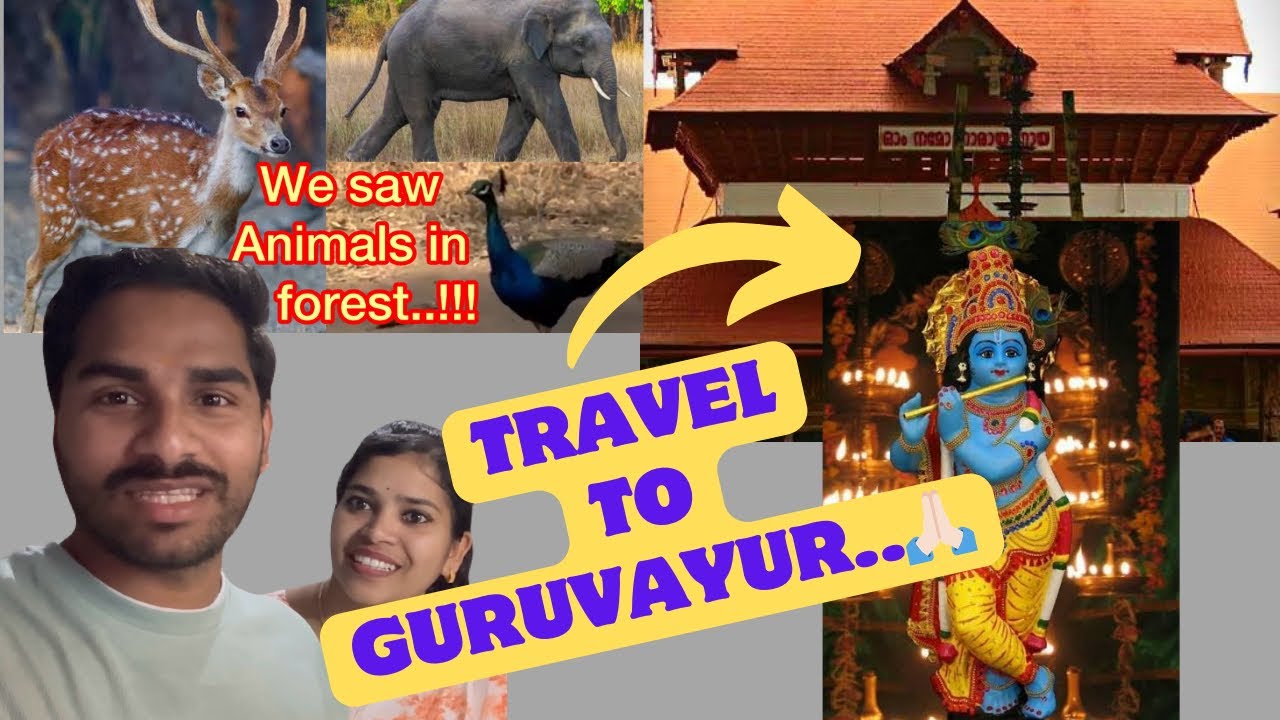 #Travel to Guruvayur🙏🏻| Bangalore to Guruvayur| #Malayalam |got blessings♥️#saw animals in forest😳