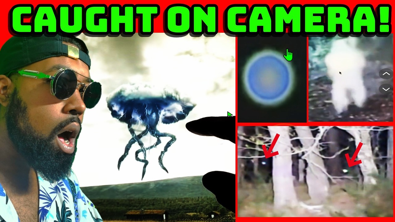 Disturbing Videos That Broke My Understanding Ep 99