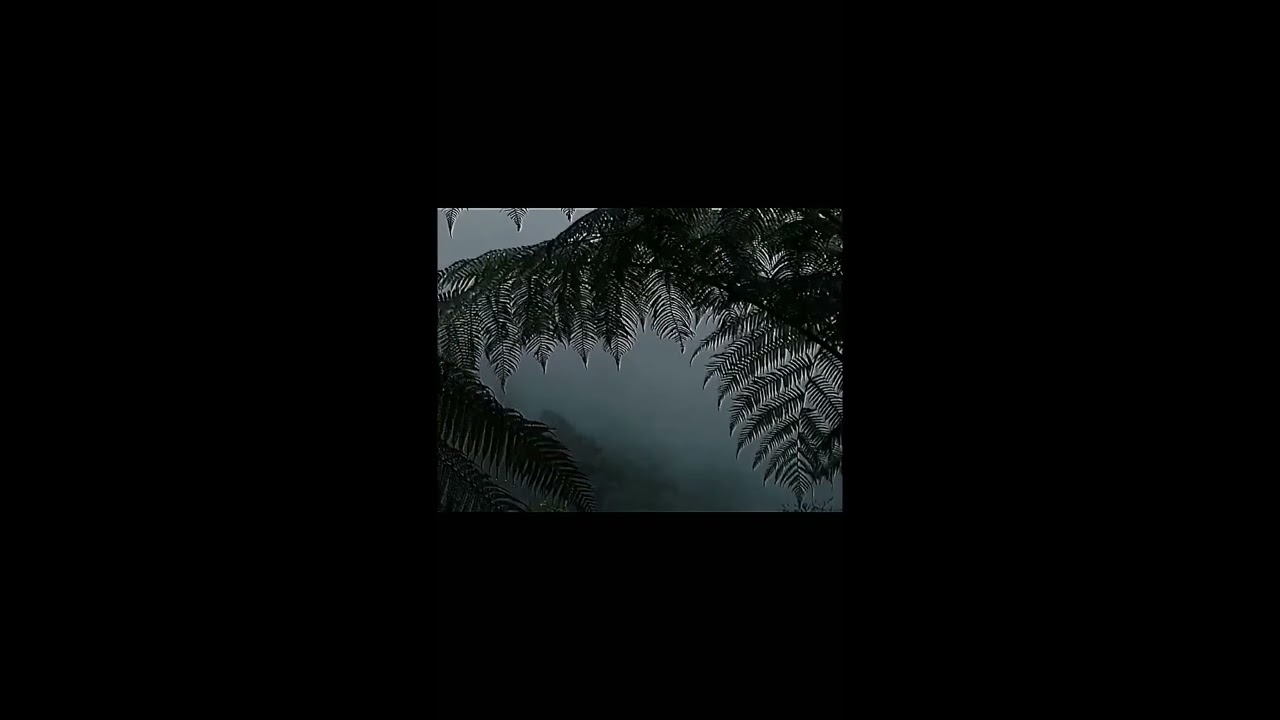 Mac DeMarco - 20200229 2 (Slowed + Reverb)