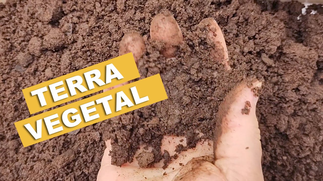 TERRA VEGETAL, BASE DE PLANTAS SAUD&Aacute;VEIS!
