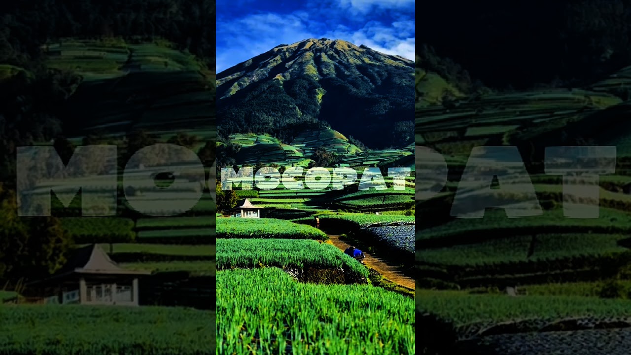 Tembang Mocopat