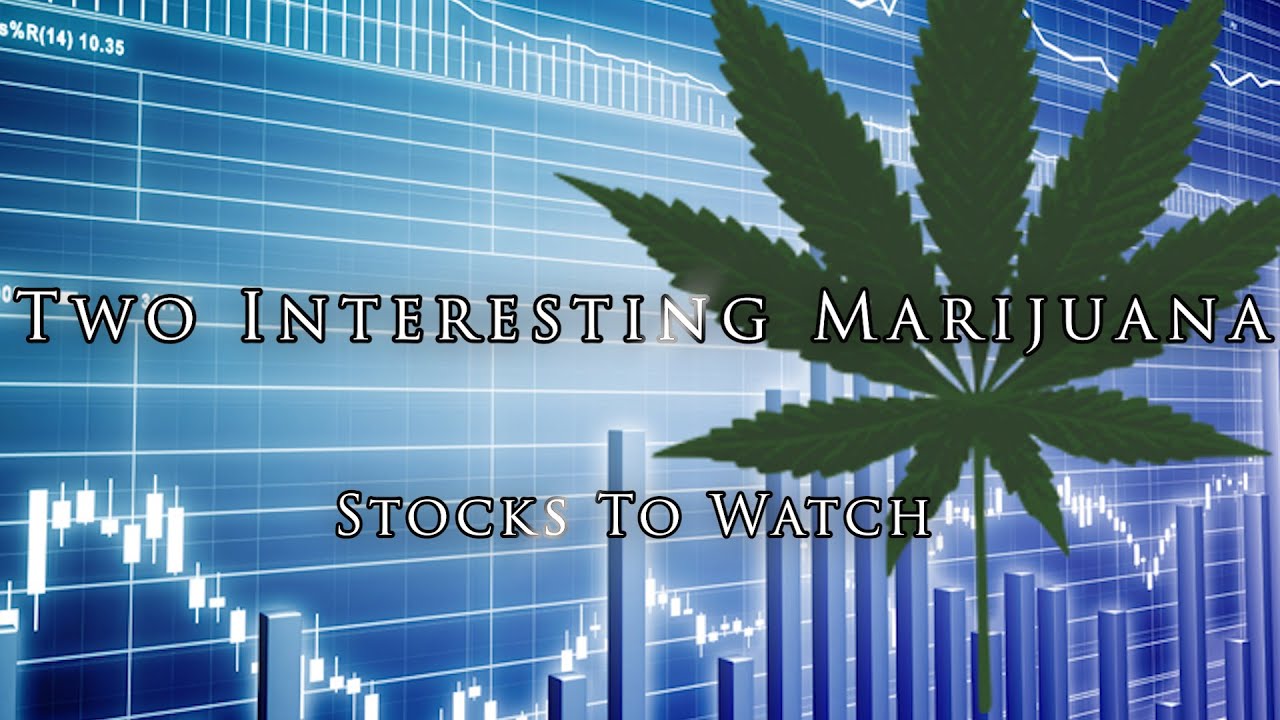 Two Interesting Marijuana Stocks To Watch