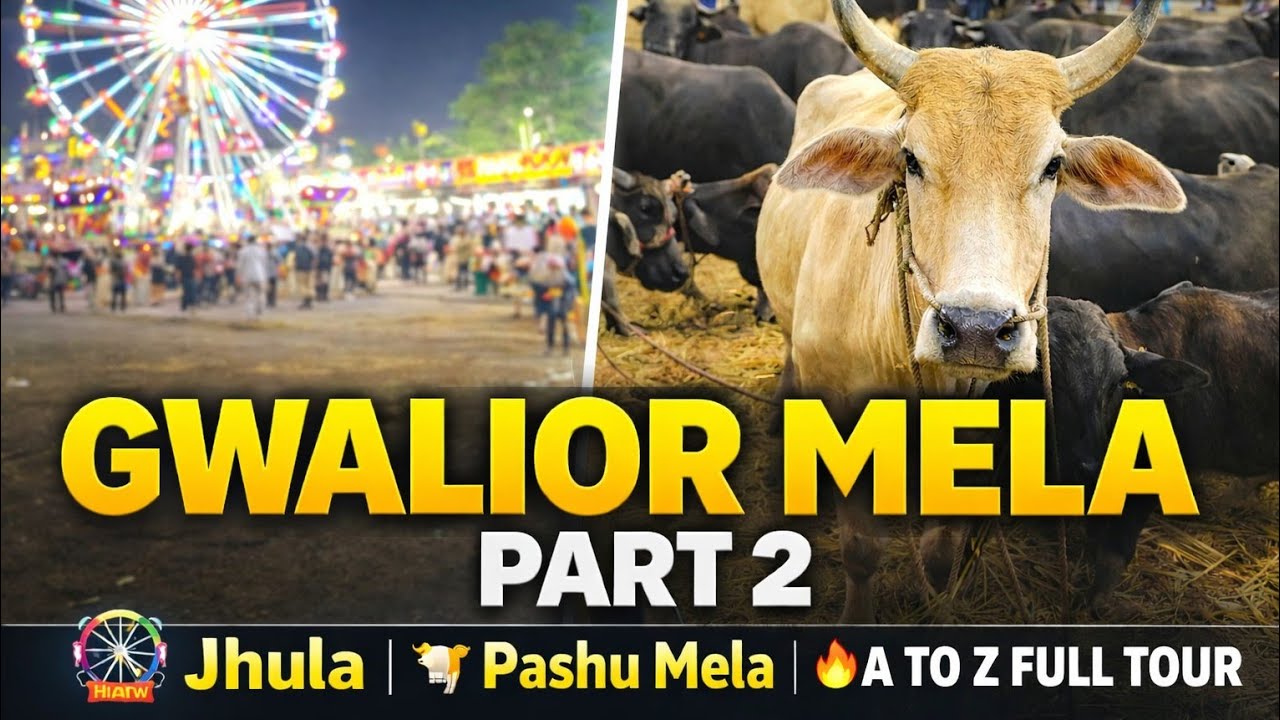 Gwalior Mela Part 2 | Jhula + Pashu Mela + 19 Station Update | Full Vlog