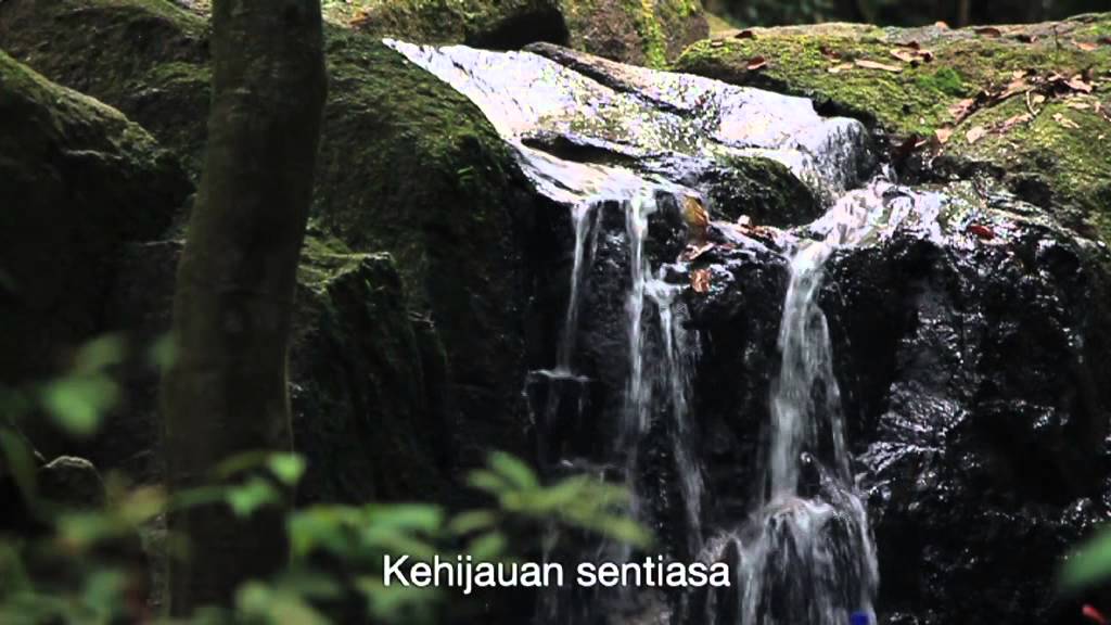 Lagu Rakan Alam Sekitar (RAS)