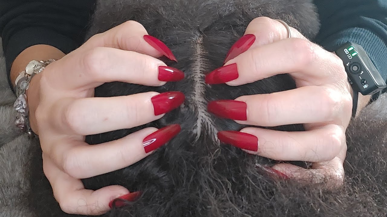 ASMR Scratching Your Itchy Scalp | Over 1 Hour Loop | No Talking 💆‍♀️ ✨️ #asmr
