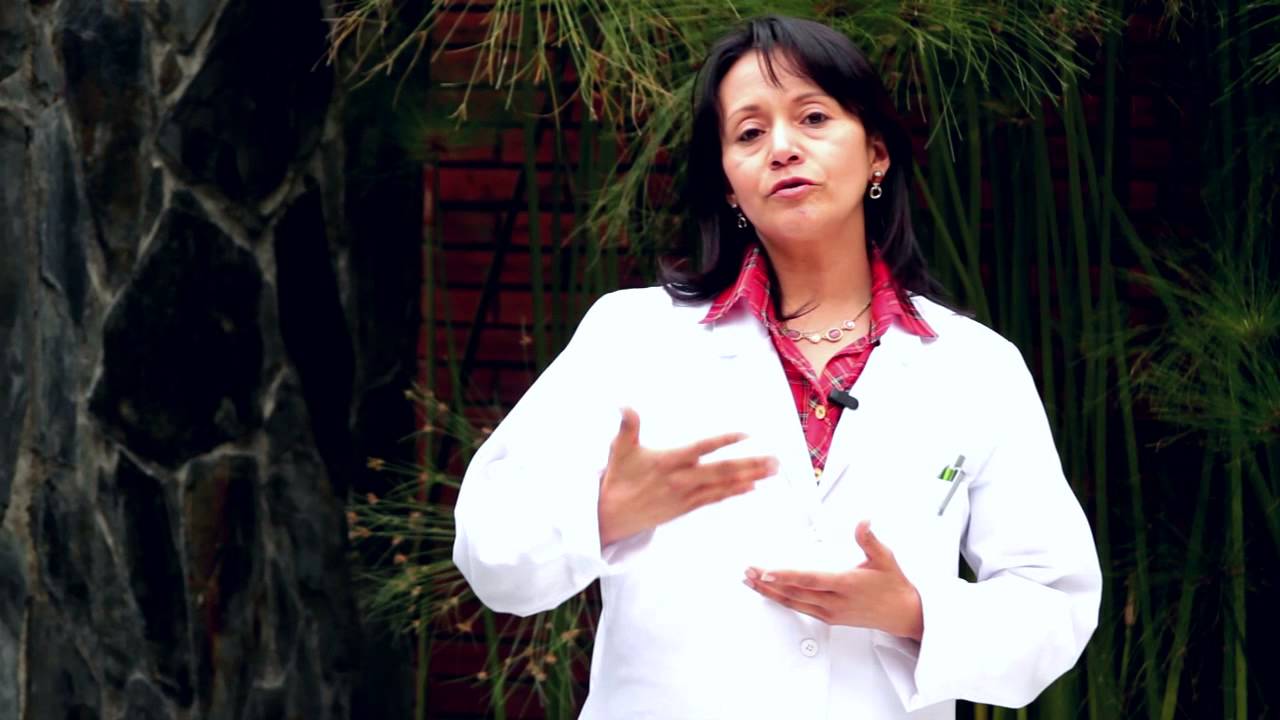 Centro Hol&iacute;stico - Nuestra sede y servicios