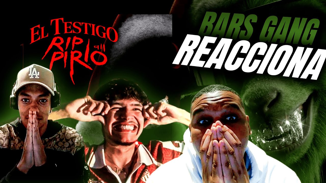 BARS GANG REACCIONA A 