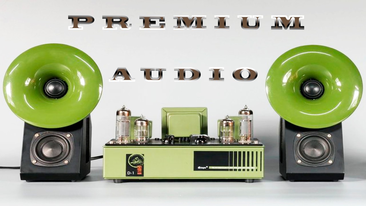 Premium 32 Bit Hi-Res Audio Audiophile test