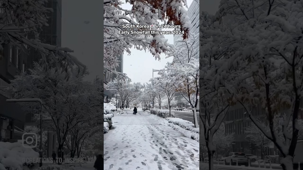 24hrs Snow in KOREA 🇰🇷 | Winter in Seoul 