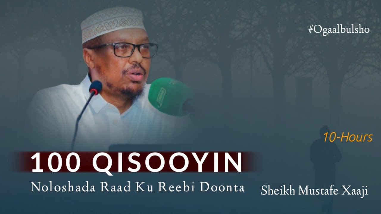 100+ Qisooyin Noloshaada Raad Ku Reebi Doona ||  Sh Mustafe @OGAALBULSHO #shmustafeqisooyin100